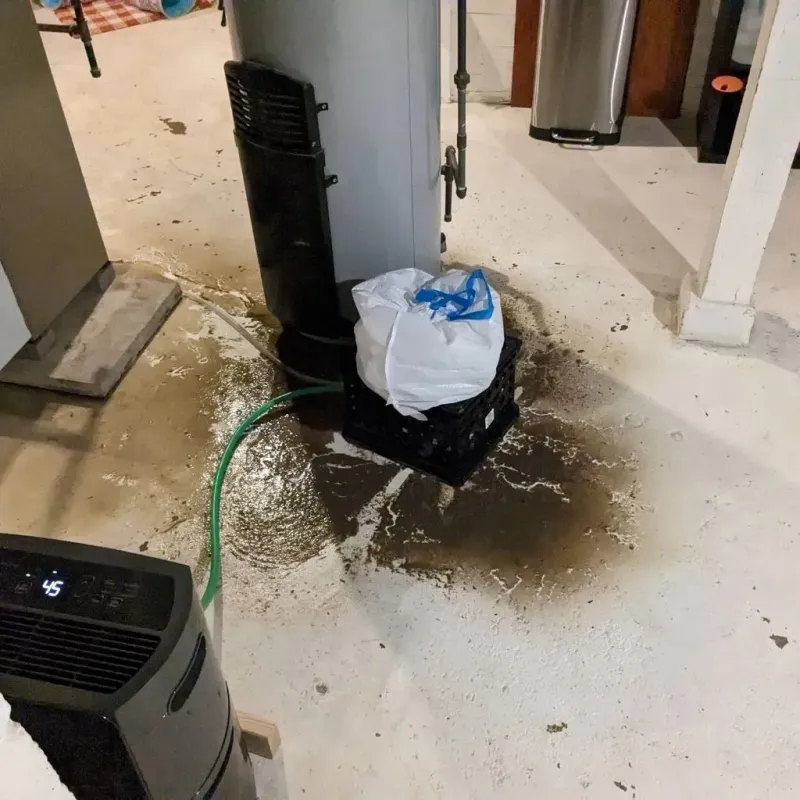 Sewage Backup Cleanup Service in Pajaro, CA